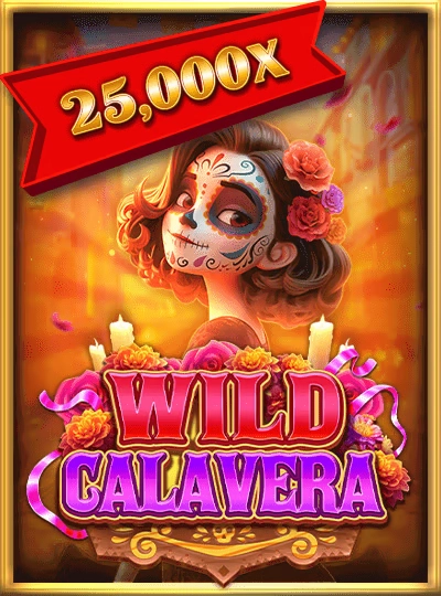 cae365